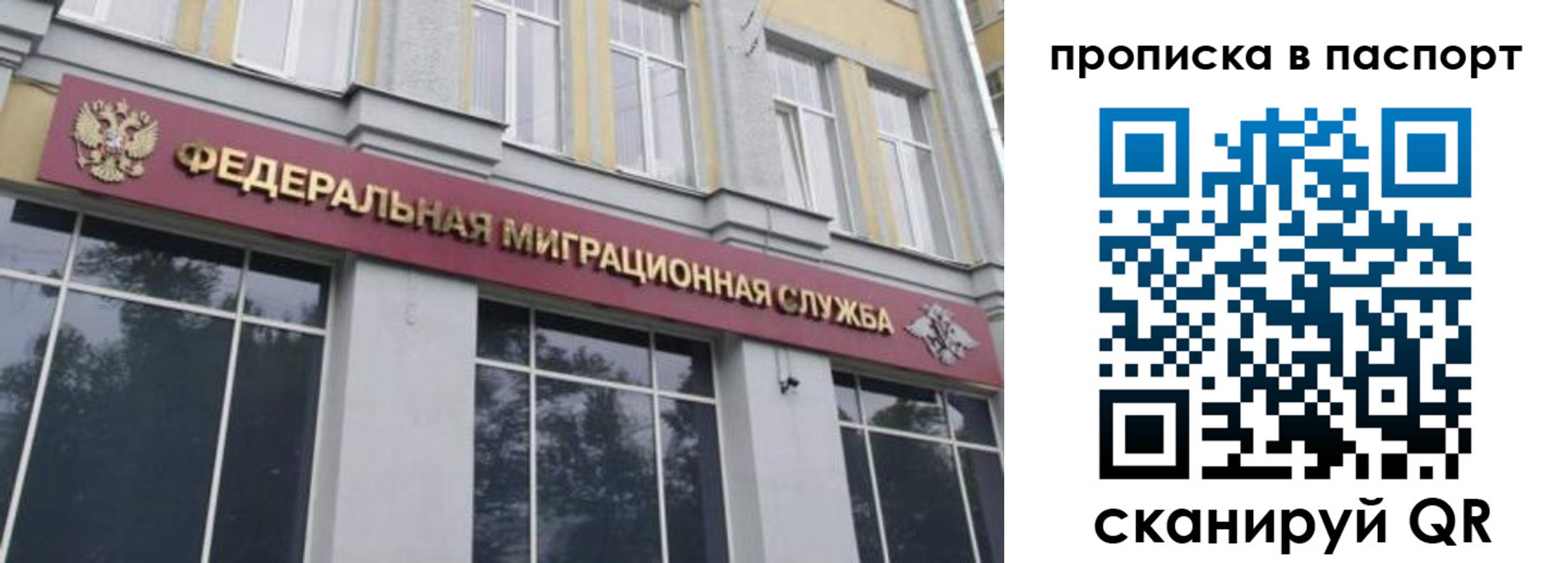 где прописаться в Дмитрове